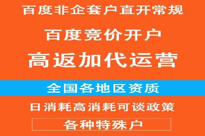 竞价广告的技巧与策略：网络推广的经典案例分享